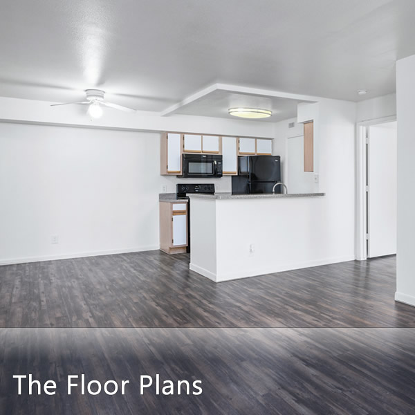 Great Floor Plans